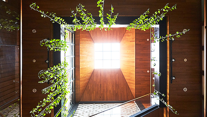 Medway natural light coming in through centre window